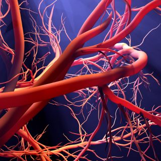 Wzmacnianie Naczyń Krwionośnych